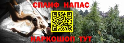 крисы Изобильный