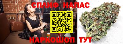 крисы Изобильный