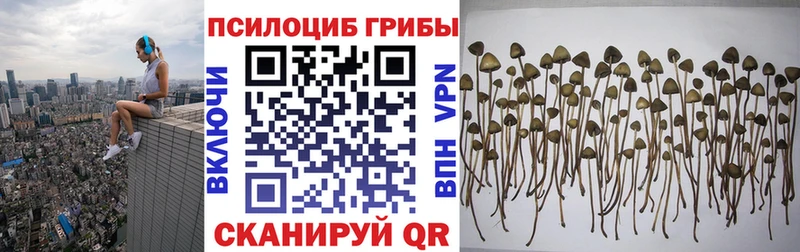 Галлюциногенные грибы Psilocybine cubensis  Саки 