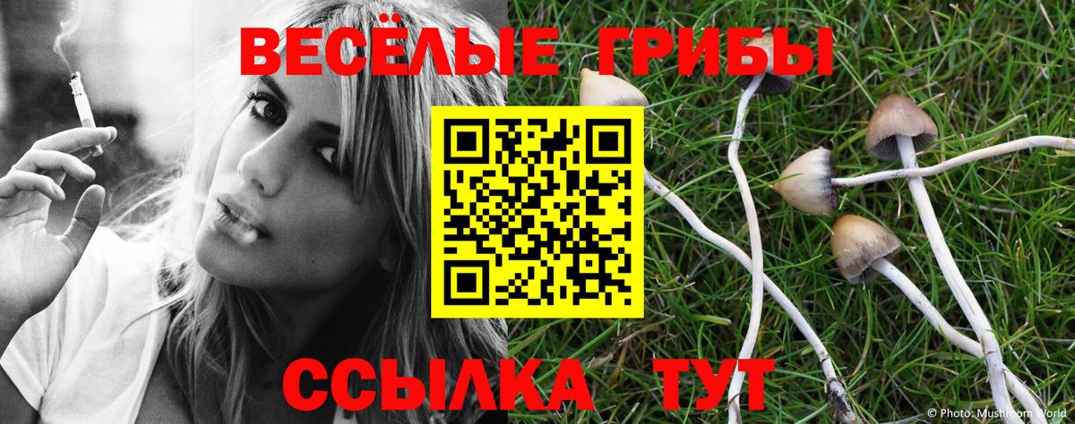 Галлюциногенные грибы мухоморы Саки