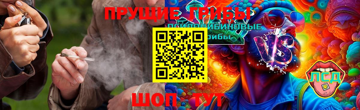 купить  сайты  Вход с VPN  Псилоцибиновые грибы Magic Shrooms  Саки  Галлюциногенные грибы мицелий 