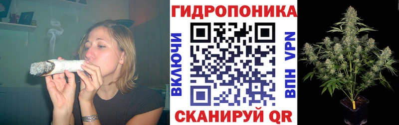 Шишки марихуана MAZAR  где купить наркоту  Саки 